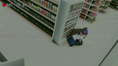 Hikari the Public Stores Sale on Sex Toys