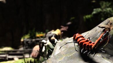 When a girl named Alice woke up with a bug in her brain, she didnt know what to do