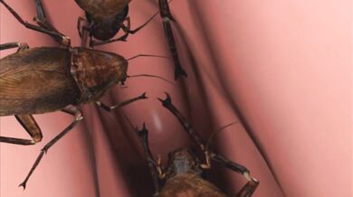 Hey guys, come and watch me fuck my sexy neighbor Pauline while shes sleeping!