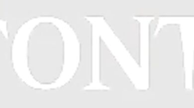 Vaygrens: Royal Pain in the Ass (Cyberunique)