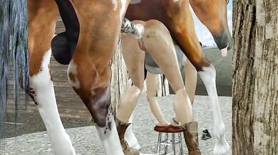 Lara and her Horse go at it for 2 Loops
