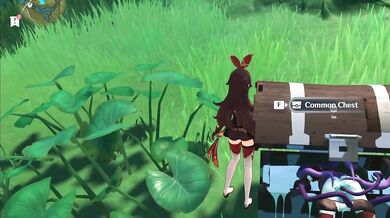 Goddess of the Chest Mimic, the Common Genshin