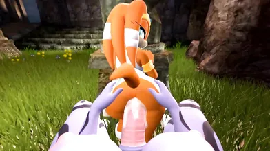 Sonic The Hedgehog 3D Porn — POV Animation by Canastus