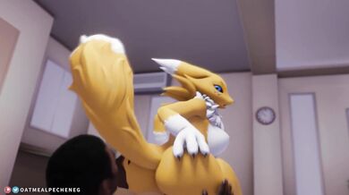 Watch Renamon take a ride on my massive cock!