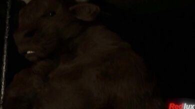 ------------------------------