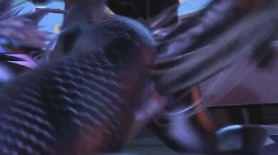 Kx2 HMV - Follow Me by ShockOne