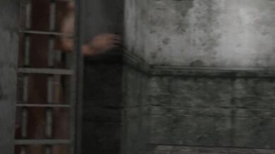 The Biology Laboratory: A New Beginning with Dante and Jackal