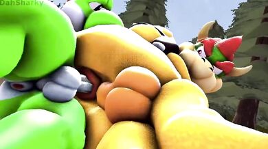 ----------------------------------------------