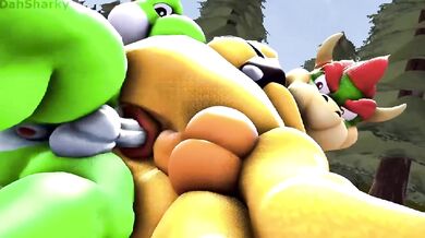 ----------------------------------------------