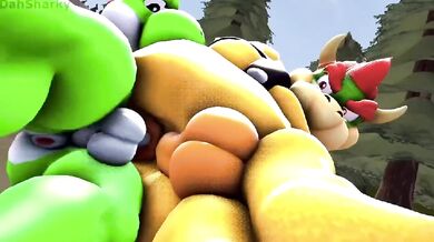 ----------------------------------------------