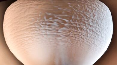 The Ultimate POV Experience