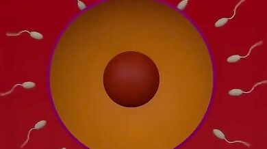 Watch this hot WAVE COWGIRL sex scene where TAILS fucks the hell out of Zarok759!