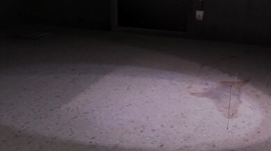 A Tale of Fetishistic Entomology: Bound by the Kinky Insecurities of the Dominant Queen Bee and Her Innocent Prey