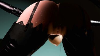 Three-dimensional Virtual Premium: The Ultimate Porn Experience