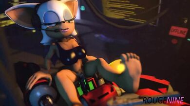 Diagnostic Test Rouge Nine