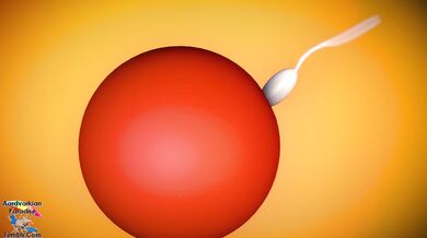 Breeding Your Queen with Lord Aardvark