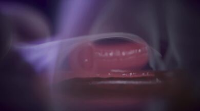 Harry Potter and the Magical Reward Part III [Parkingbelt]