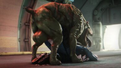 Write the sentence in present perfect tense