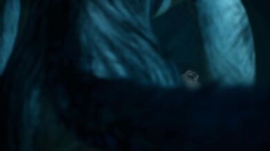 Shivering in the Snowy Wilderness, She Fucks a Wild Wolf for Survival