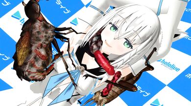 One hot night with a gorgeous insect