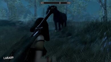 Rachels adventure in the land of Nirn as she explores the vast expanse and meets new creatures along the way