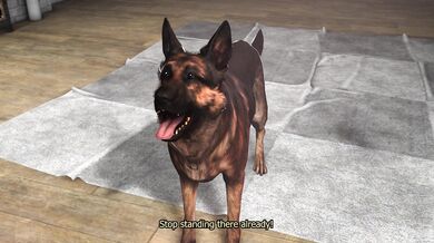 Watch as Rachel gets fucked by all her friends in A Sluts Dirty Little Secret!