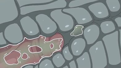 Sexy Sadako vs Yamamura: The Animated Hentai Adventure