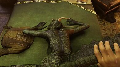 Hey there, sexy Argonian! Want to see a good time? Ive got something special planned for us tonight