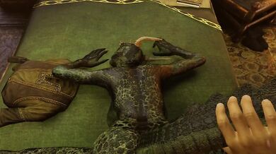 Hey there, sexy Argonian! Want to see a good time? Ive got something special planned for us tonight