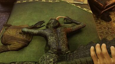 Hey there, sexy Argonian! Want to see a good time? Ive got something special planned for us tonight