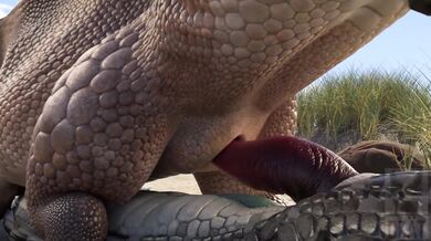 The Dragon and the Furry - The Unforgettable Love Affair Between Two Species