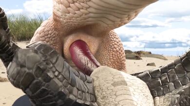 The Dragon and the Furry - The Unforgettable Love Affair Between Two Species