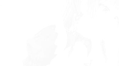 The job of a sex processing maid