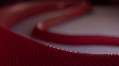 Miia has a special midnight snack, one that involves her elastic lover!