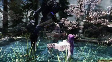 The Nympho Witchs Horny Ritual