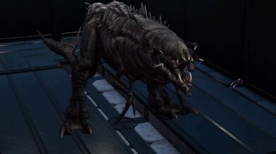 My name is Sally, and I have a monstrous appetite for you