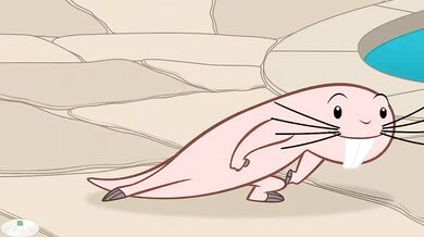 The Diving Board - Rufus and the Deep End