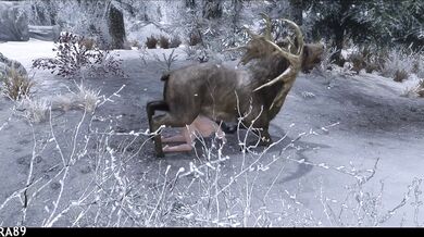 In the frosty lands of Skyrim, two lovers embark on a risky adventure as they indulge in wild sex before Christmas Eve