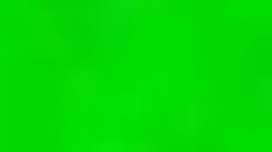 The Loud House: Lisas Secret Life