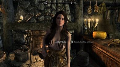 Armorous Adventures of F***ing Camila