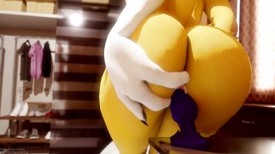 -----------------------