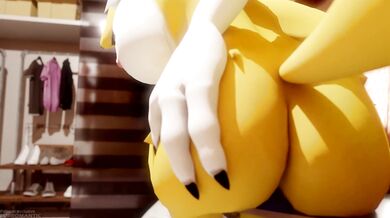 -----------------------