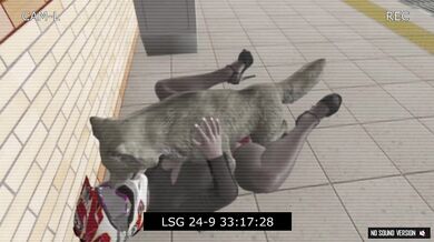 You will be the center of attention in Tied Up For My Pleasure