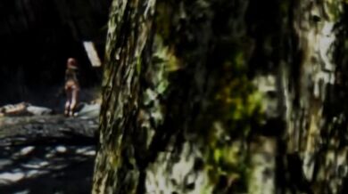 'Skyrim Immersive Porn Episode 5: The Throbbing Dragonborn'