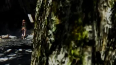 'Skyrim Immersive Porn Episode 5: The Throbbing Dragonborn'