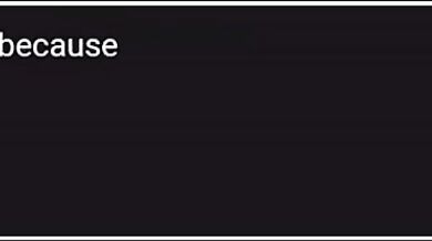 "Wando Wando's Naughty Videos (Part-1) - I Fight For Glory and Your Pleasure!"