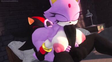 The sound of their bodies crashing against each other filled the air, as Shadow and Blaze had sex like there was no tomorrow.