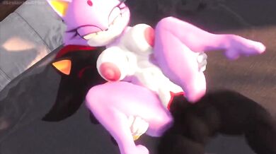 The sound of their bodies crashing against each other filled the air, as Shadow and Blaze had sex like there was no tomorrow.