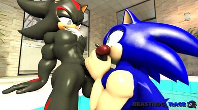 "The Sexual Adventures of Sonic and Shadow with Dark Beast Hog!"