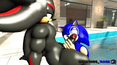 "The Sexual Adventures of Sonic and Shadow with Dark Beast Hog!"